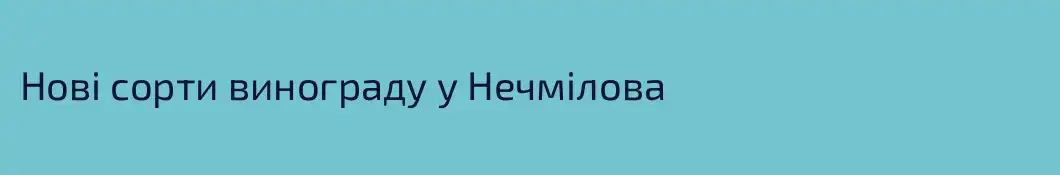 Нові сорти винограду у Нечмілова
